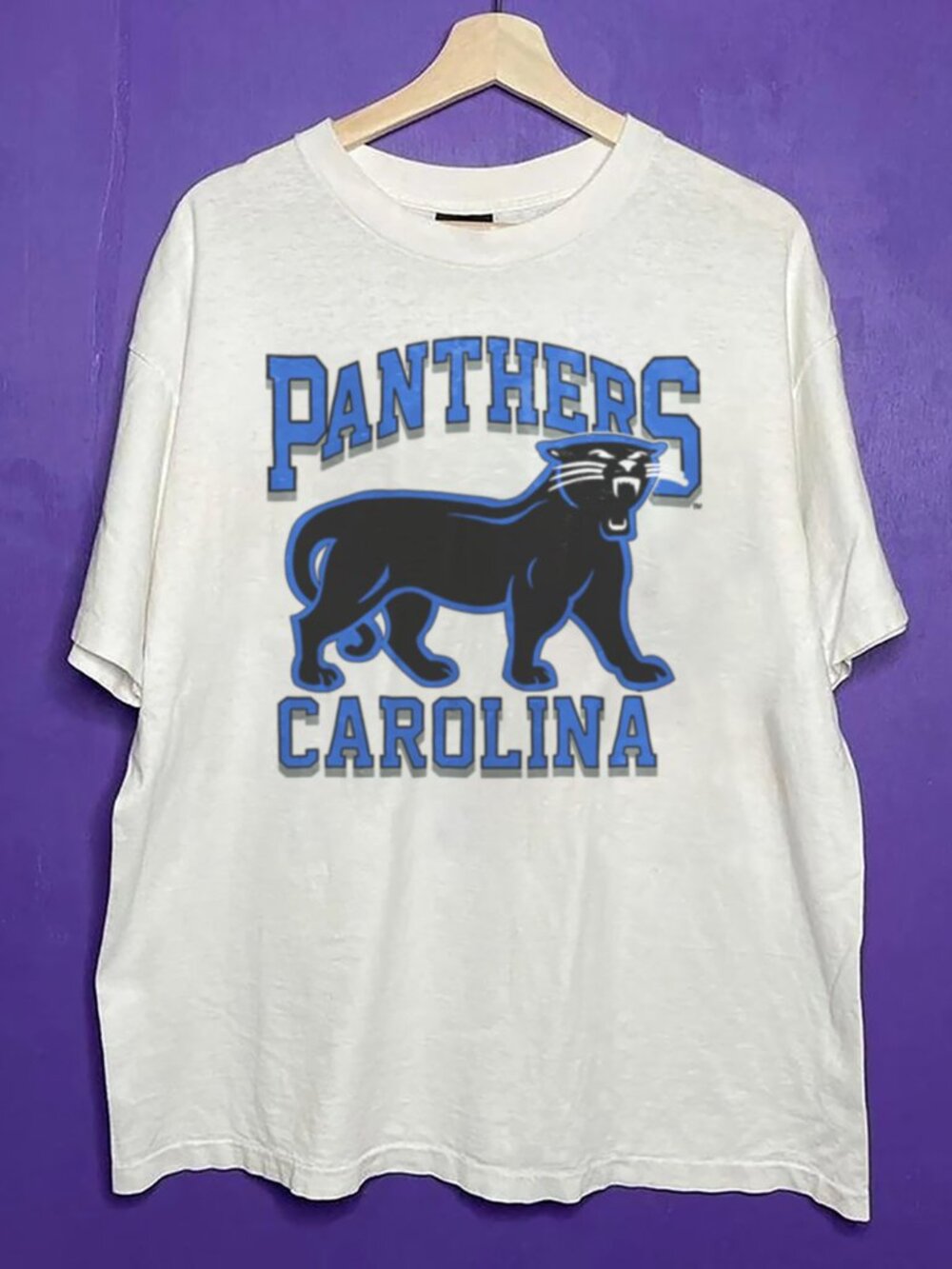 Vintage 90s Carolina Panthers Football Crewneck Shirt, NFL Shirt For Men Women